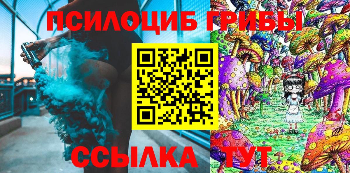 Борисоглебск  Псилоцибиновые грибы Psilocybine cubensis  Вход с VPN 